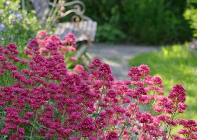 Gemeinschaftsgarten
