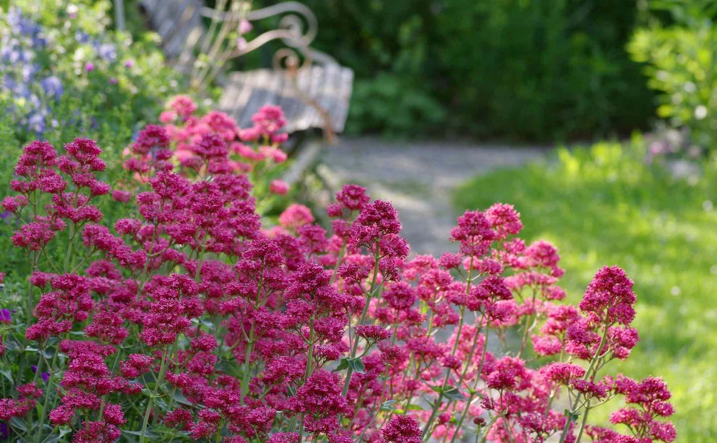 Begegnungen im Grünen, Winterthur