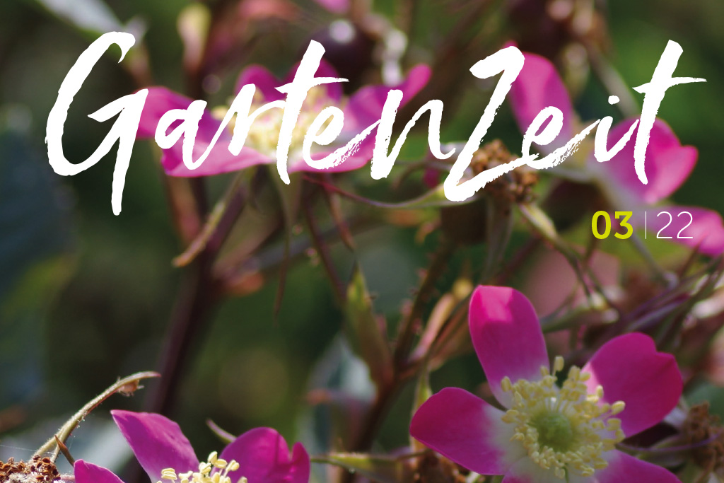Gartenzeit 03|22