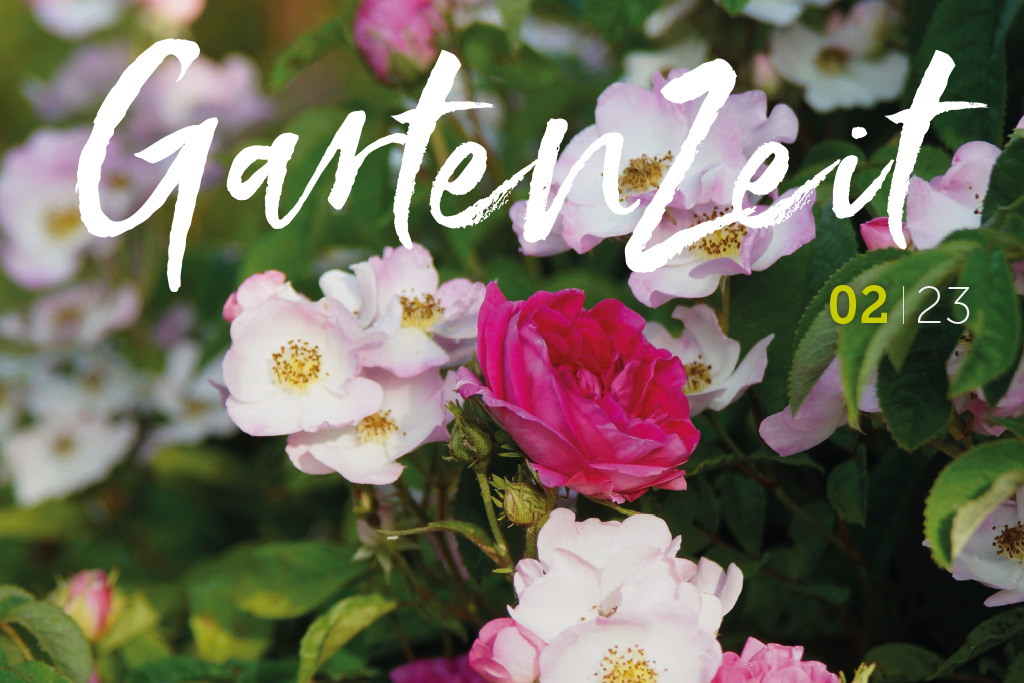 Gartenzeit 02|23