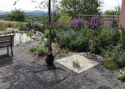 Im Garten Podolak haben sich dank Biotop viele Molche und Kröten angesiedelt.