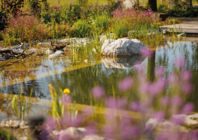 Naturgarten der Familie Schadegg im St. Galler Rheintal