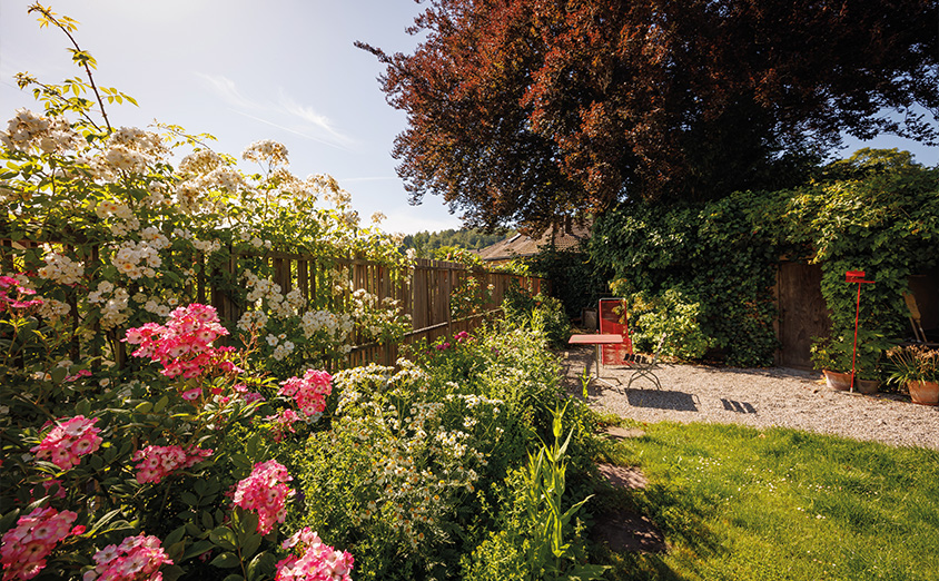 Den Garten leben lassen
