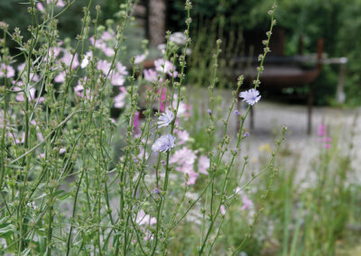 Ein Garten fürs Leben
