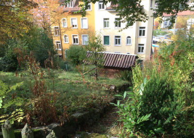 Paradies über den Wolken - vorher
