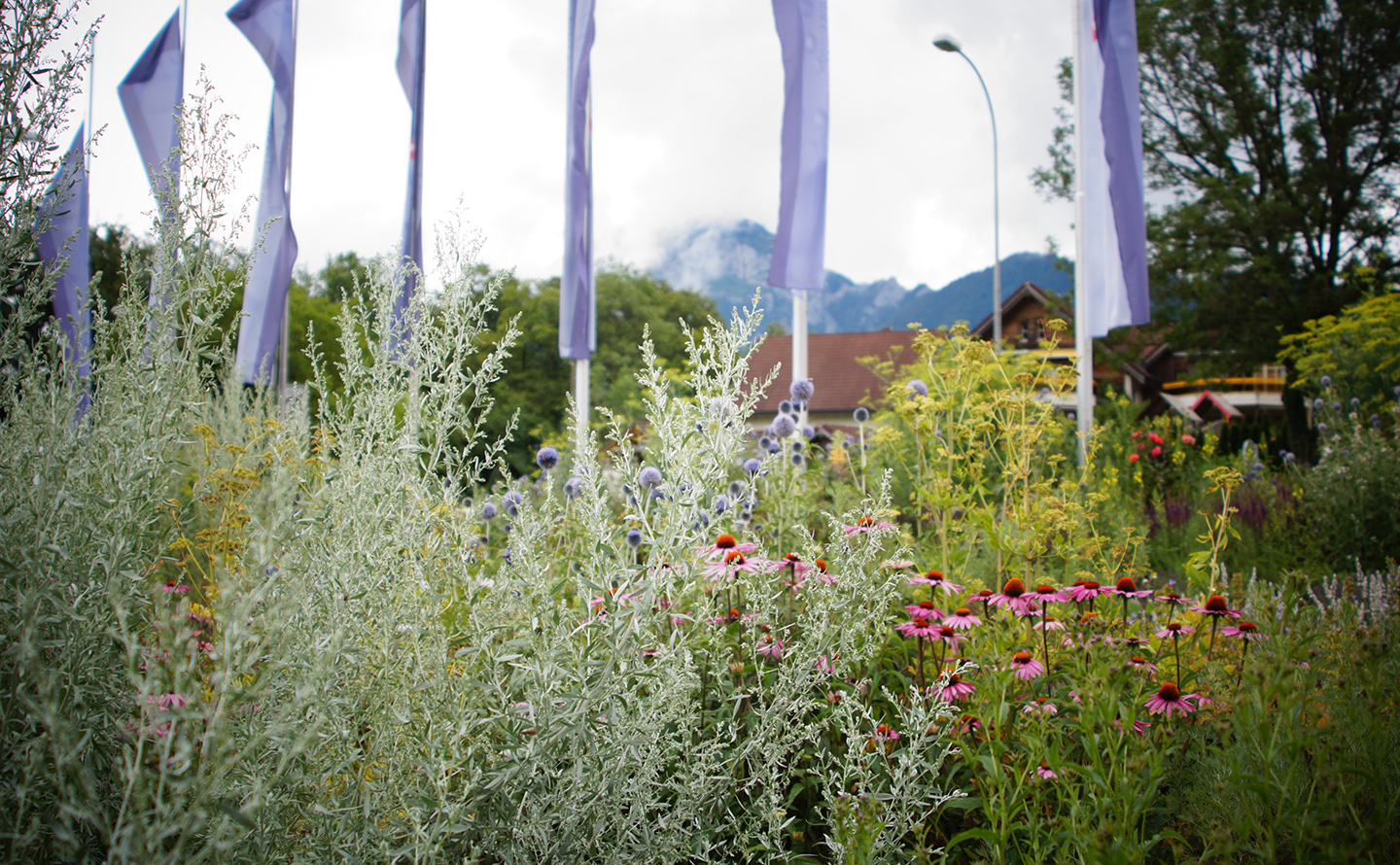Swiss Holiday Park, Morschach