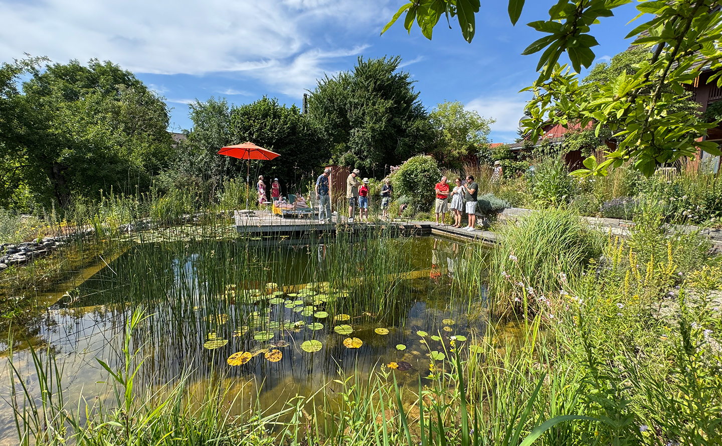 Faszination Schwimmteich