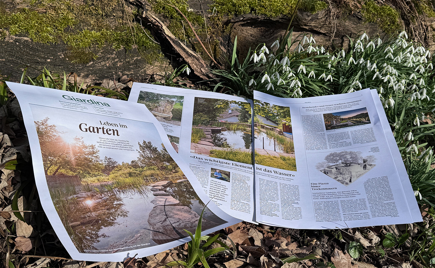 «Leben im Garten» in der Sonntagszeitung