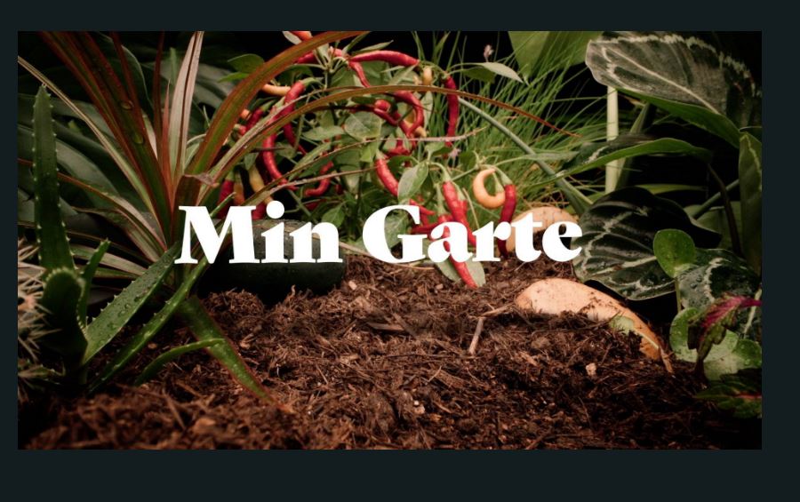 Min Garte auf TeleZüri