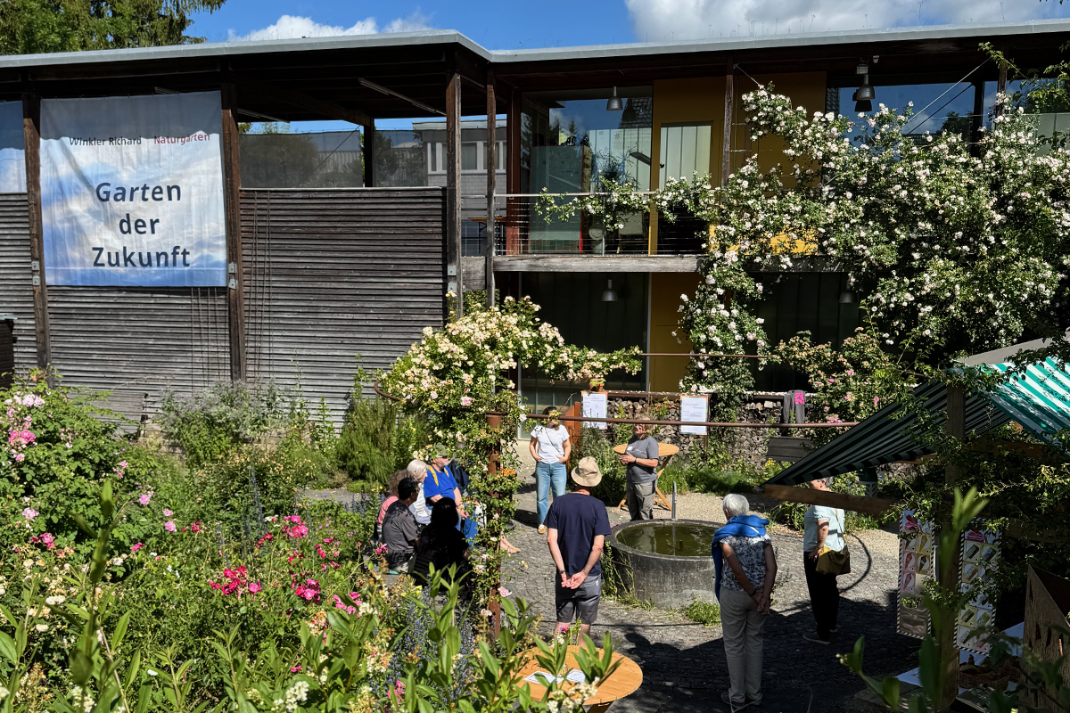 Sommerfest im Schaugarten
