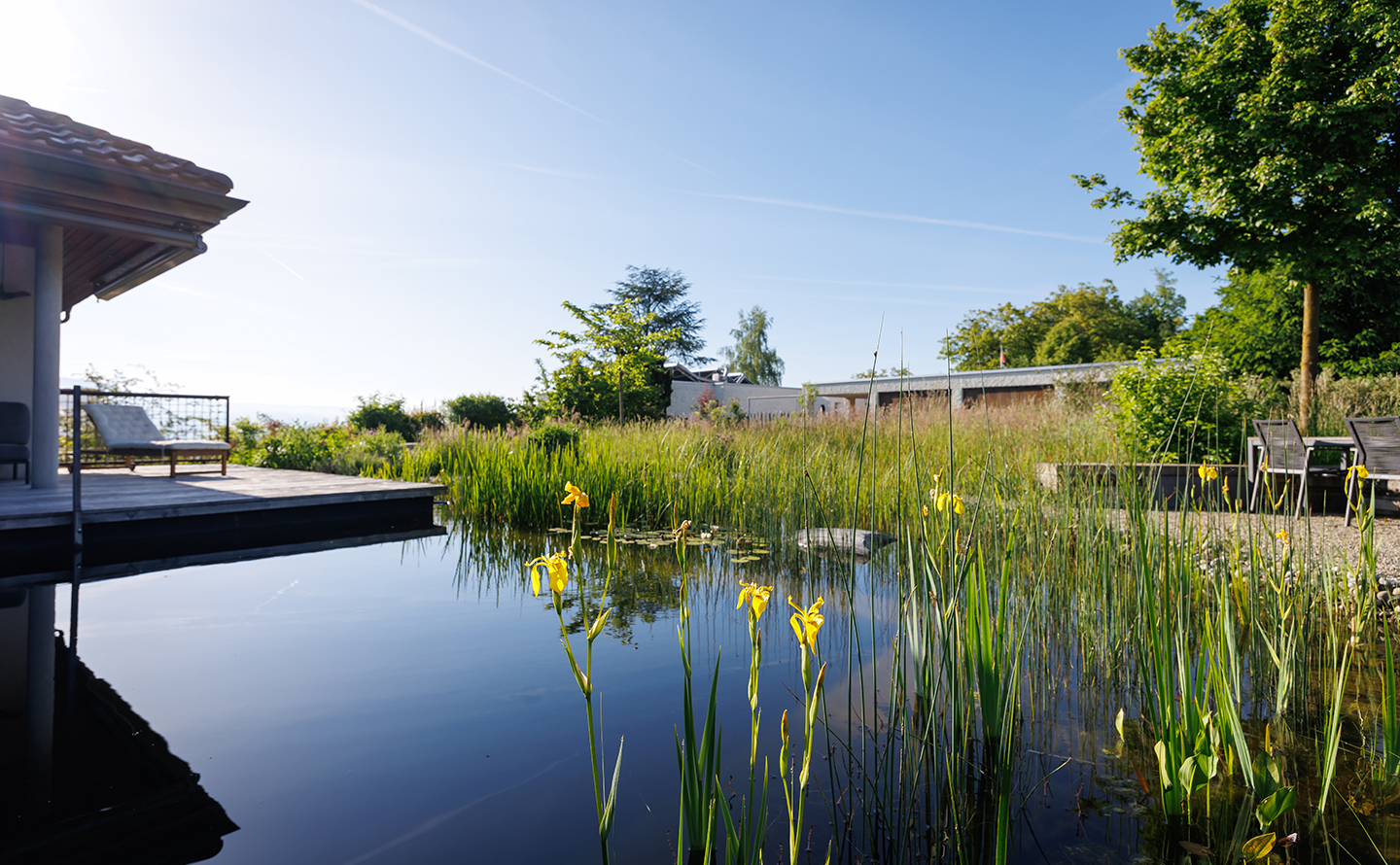 2_Knutwil_Schwimmteichpflege An den Gartenschopf schliesst eine vielfältige Trockenmauer aus Recyclingsteinen an.