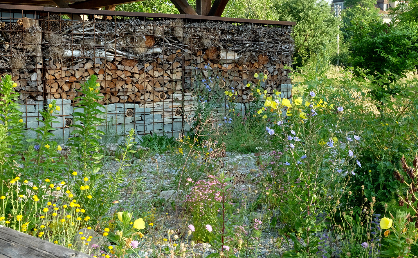 Winkler_Richard_Naturgarten_Felder_Marthalen_DSCF7496.jpg An den Gartenschopf schliesst eine vielfältige Trockenmauer aus Recyclingsteinen an.