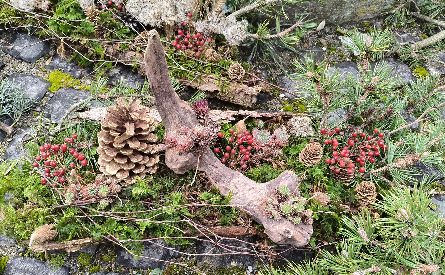 7_2_Gestalten mit Naturmaterialien An den Gartenschopf schliesst eine vielfältige Trockenmauer aus Recyclingsteinen an.