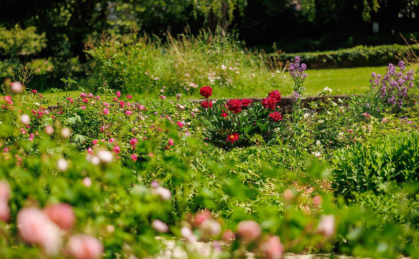 8_Rosengarten Zofingen An den Gartenschopf schliesst eine vielfältige Trockenmauer aus Recyclingsteinen an.