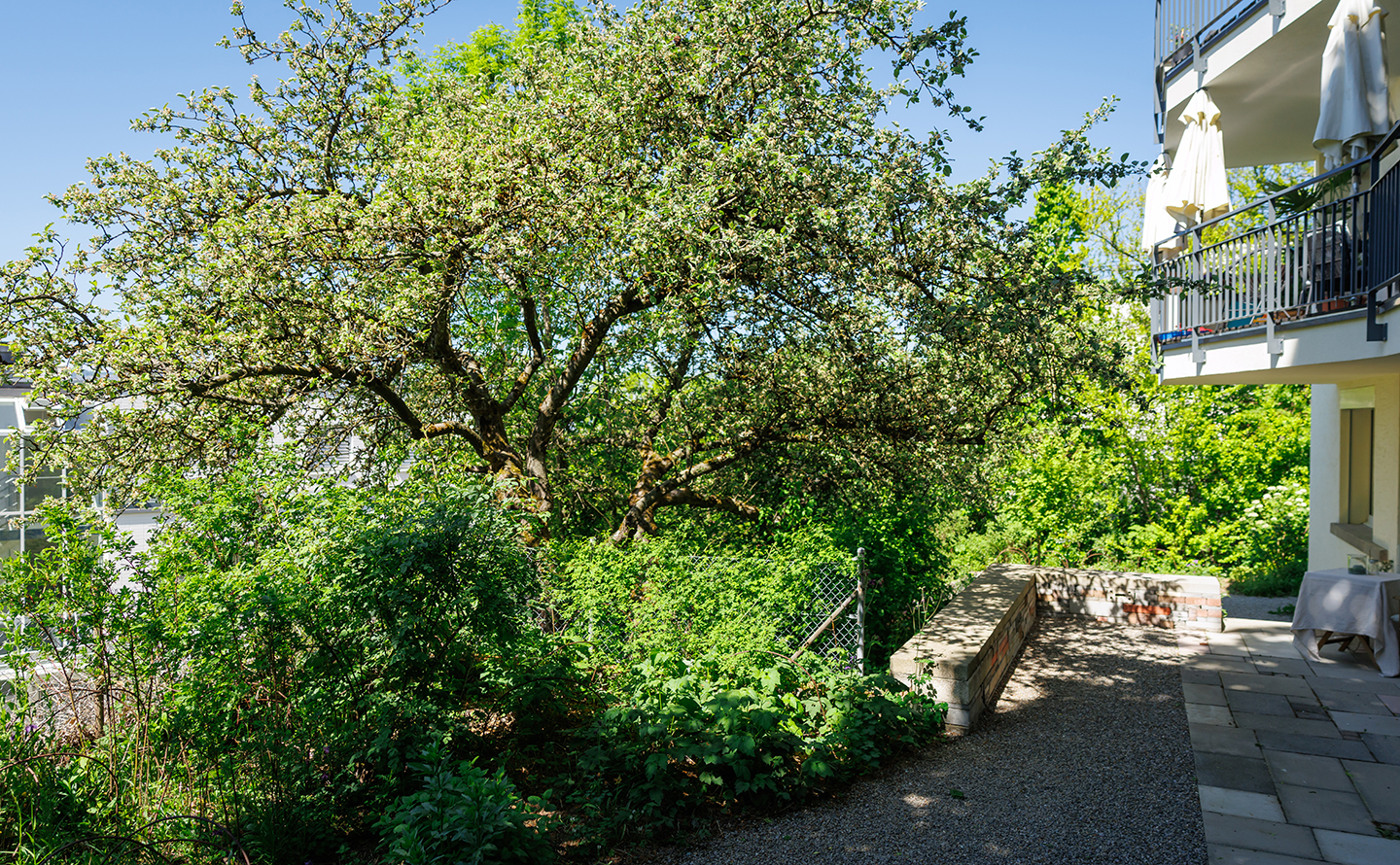 Ein Garten für alle Sinne, Witikon
