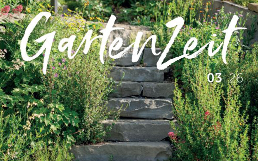 Gartenzeit 3|26